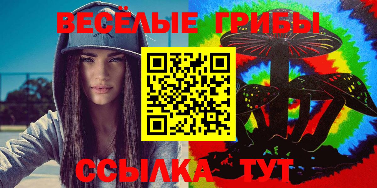 Псилоцибиновые грибы Psilocybine cubensis  Псилоцибиновые грибы Cubensis  Балтийск 